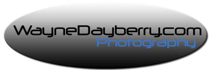 WayneDayberrylogo1by3flat copy.jpg